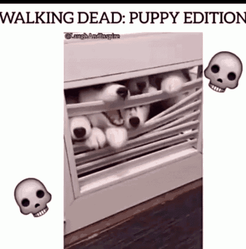 Dogs Walking Dead Puppy Edition GIF - Dogs Walking Dead Puppy Edition Puppy GIFs