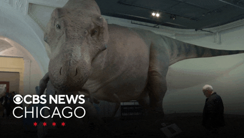 an advertisement for cbs news chicago shows a giant dinosaur