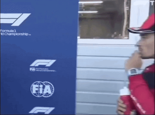 Verstappen F1 GIF - Verstappen F1 Leclerc GIFs