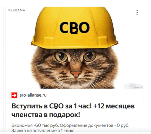 a cat wearing a yellow hard hat with the word cbo on it