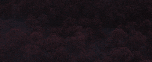 a dark cloudy sky with trees in the foreground .