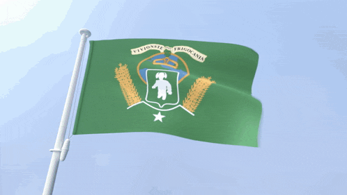 a green flag with a shield and a star on it is flying in the wind against a blue sky