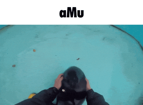 a person petting a seal with the word amu above