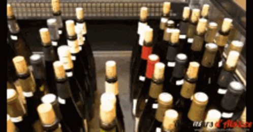 Wine Shop Wine GIF - Wine Shop Wine Wine Bottles GIFs