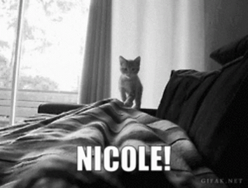 Kittenprns Nicole GIF - Kittenprns Kitten Nicole GIFs