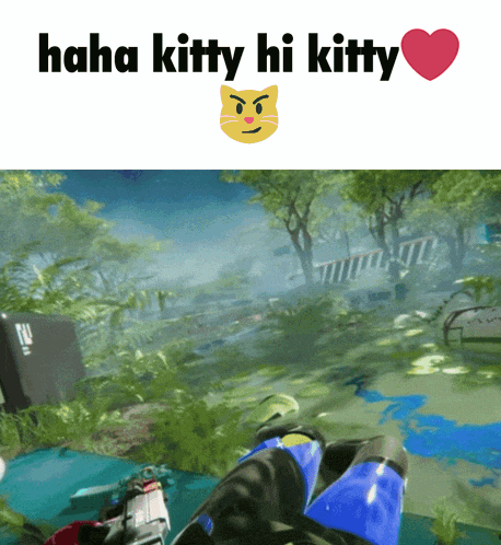 a screenshot of a video game with the words " haha kitty hi kitty " at the top