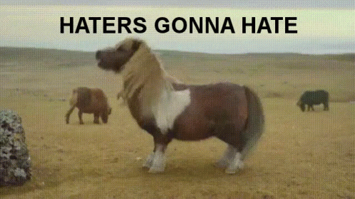 Haters GIF - Haters Horse Pony GIFs