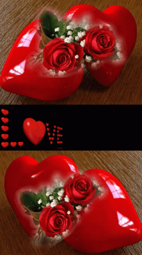 Love Red GIF - Love Red Roses GIFs