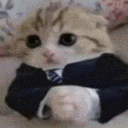a cat wearing a suit and tie is laying down on a bed .