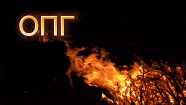 a poster with a burning tree in the foreground and the words " opg " above it
