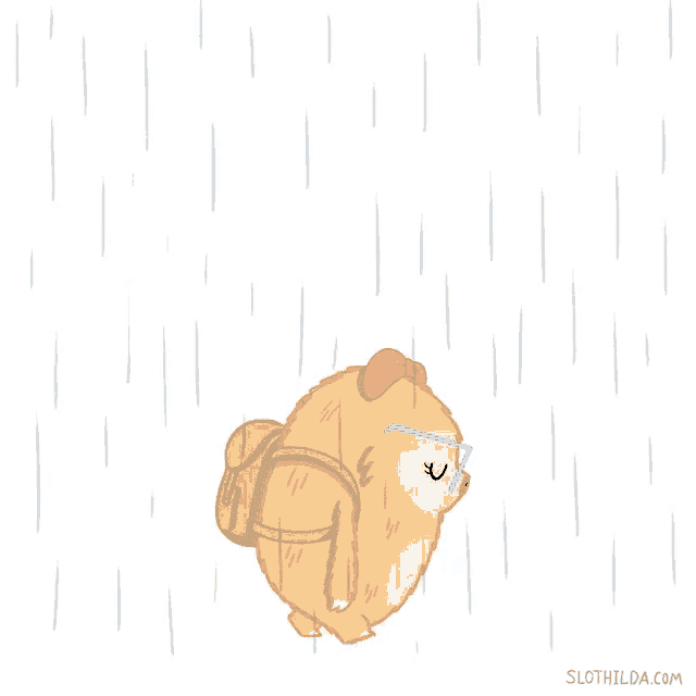Slothalida Rain GIF
