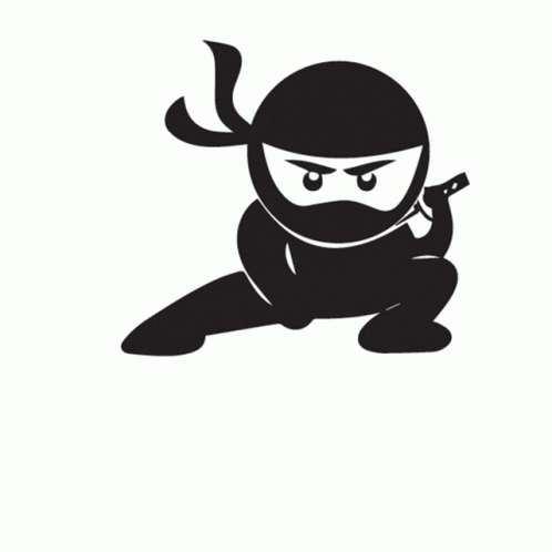 Ninja Bomb Didi GIF