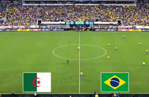 Brazil Algeria Algeriafun GIF - Brazil Algeria Algeriafun Algeria World Cup GIFs