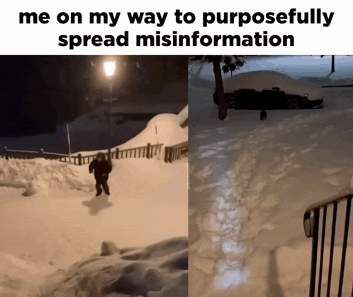 a meme shows a person walking in the snow