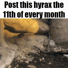 a picture of a snake with the words post this hyrax the 11th of every month
