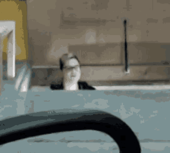 a man with glasses is peeking out of a chair