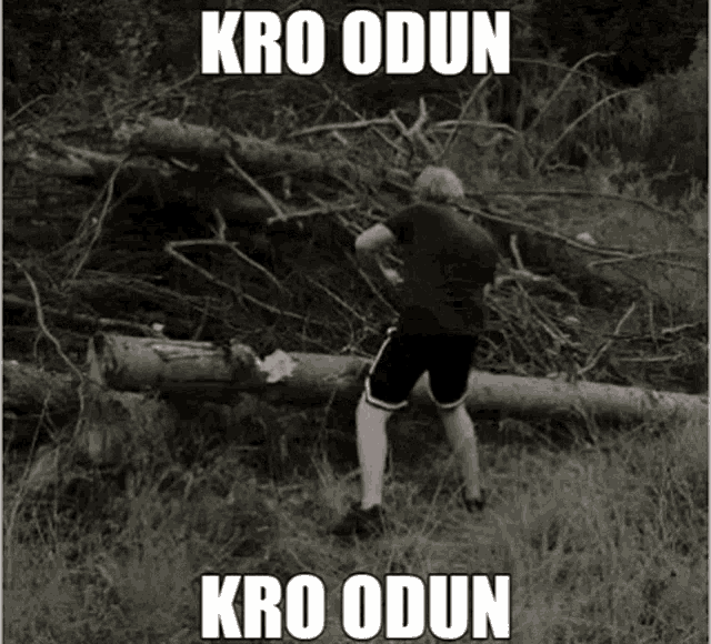 a black and white photo of a person standing next to a pile of fallen trees with the caption kro odun kro odun .
