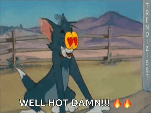 a cartoon of tom and jerry with the words well hot damn