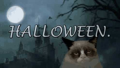 a grumpy cat is sitting in front of a full moon with the words `` halloween '' above it .