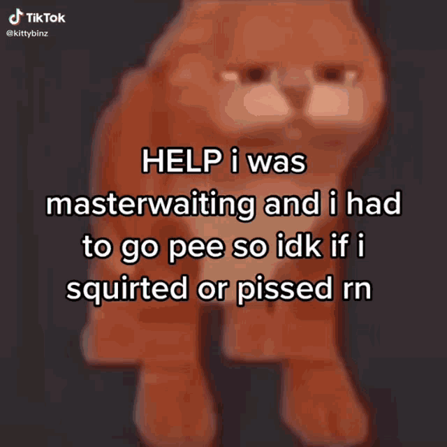 a picture of a cat that says help i was masterwaiting