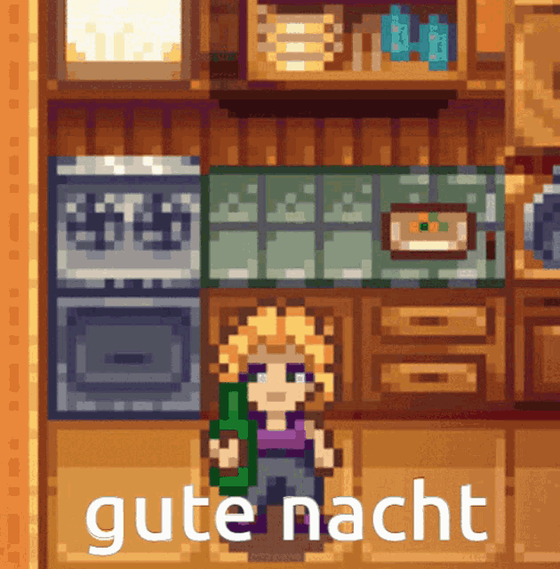 a pixel art illustration of a girl in a kitchen with the words gute nacht written above her