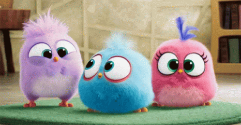 Happy Birds GIF - Happy Birds GIFs