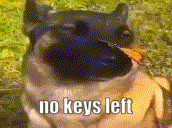 a close up of a dog with the words no keys left written on it