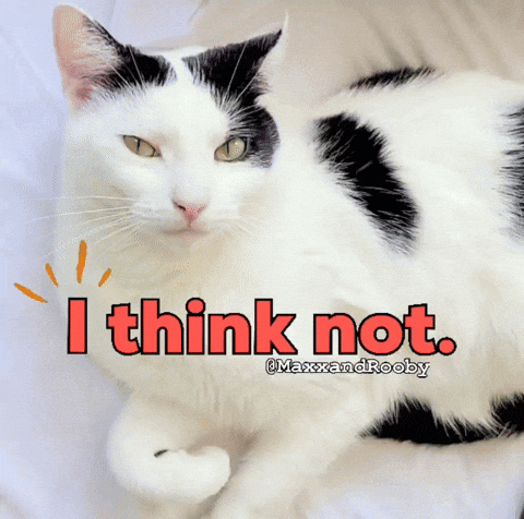a black and white cat with the words i think not on it
