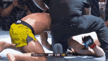 a ufc fight between mitchell and silva