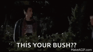 Harold And GIF
