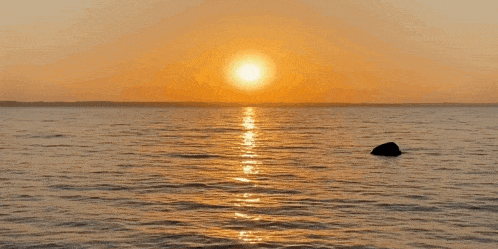 a sunset over a body of water with the words morning n on the bottom