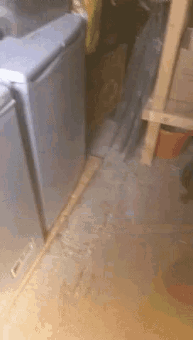 a gray refrigerator is sitting on a wooden floor next to another refrigerator