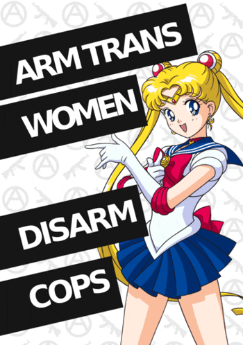 a poster of sailor moon with the words arm trans women disarm cops on it