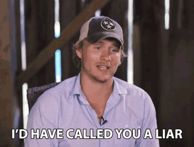Id Have Called You A Liar Liar GIF - Id Have Called You A Liar Liar Fabricator GIFs