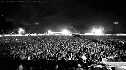 Linkin Park Crowd GIF - Linkin Park Crowd Concert GIFs