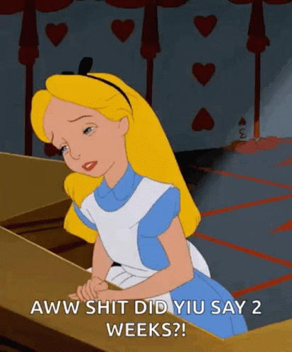 Alice Face Palm GIF - Alice Face Palm Shit GIFs