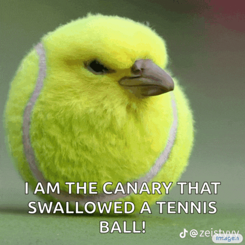 a picture of a bird that looks like a tennis ball