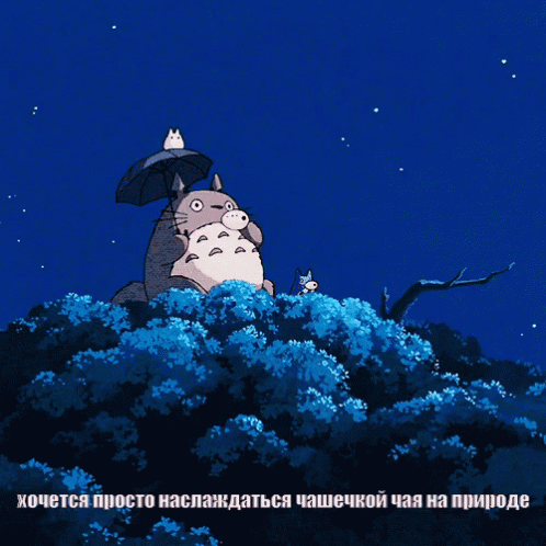 тоторо миядзаки гибли аниме чай ночь природа GIF - Totoro Ghibli Anime GIFs