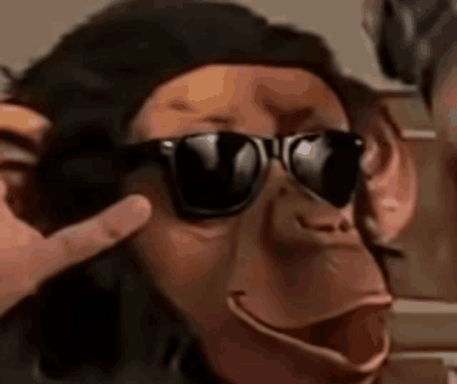 a close up of a monkey wearing sunglasses and making a funny face .