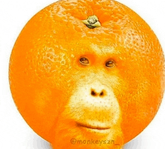 an orange that looks like a monkey 's face
