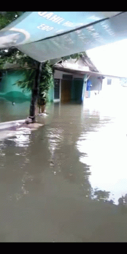 Banjir GIF - Banjir GIFs
