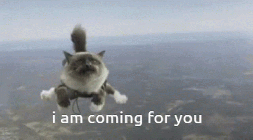 Cat Flying GIF - Cat Flying I Am Coming For You GIFs