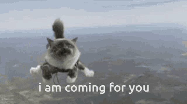 a cat is flying through the air with the words `` i am coming for you '' .