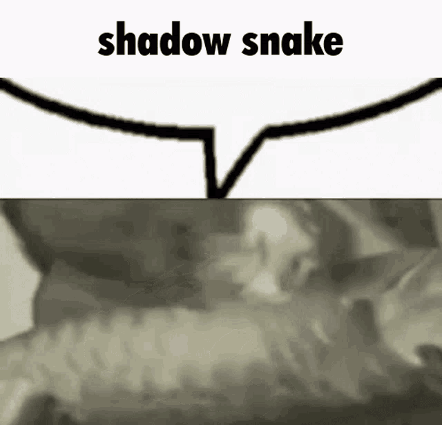 a picture of a snake with the words `` shadow snake '' written on it .