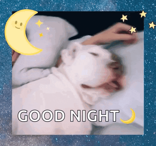 a picture of a dog sleeping with the words good night written on it