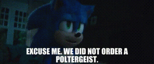 Sonic Excuse Me GIF - Sonic Excuse Me We Did Not Order A Poltergeist GIFs