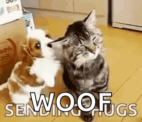 a cat and a dog are hugging each other with the words woof sending hugs behind them