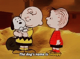 Charlie Brown Dogs Name Is Snoopy GIF - Charlie Brown Dogs Name Is Snoopy Hug GIFs