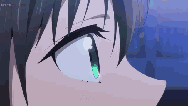 a close up of a girl 's eye with animeplus.net in the bottom right corner