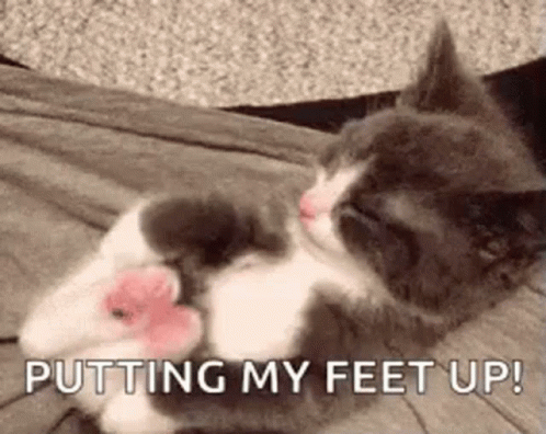 Feet Up GIF - Feet Up Kitty GIFs